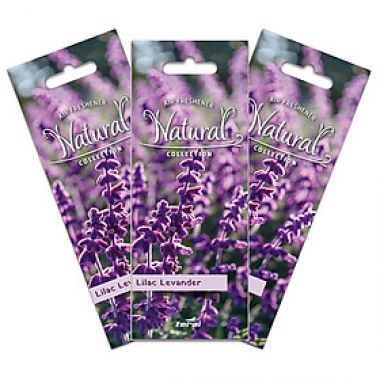 Combo 2 Giấy thơm treo phòng - xe hơi hương tự nhiên