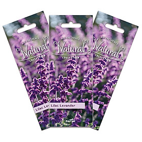 Combo 2 Giấy thơm treo phòng - xe hơi hương tự nhiên